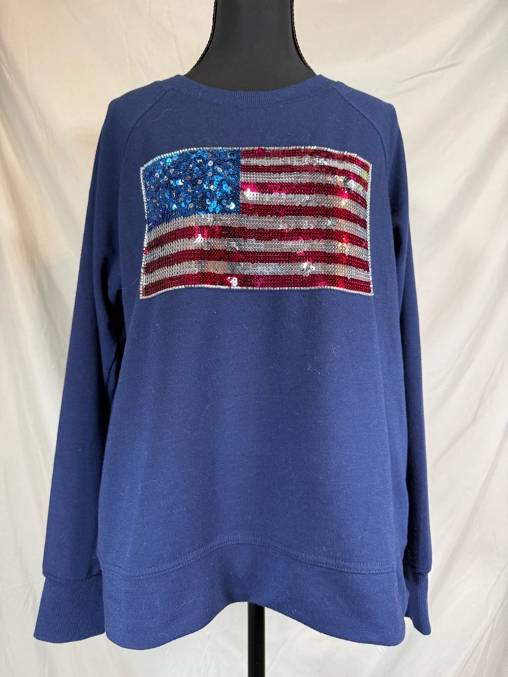 Anthropologie Philosophy Republic Clothing Patriotic Crewneck 🇺🇸✨